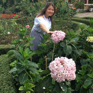 Meet your Posher, Tam